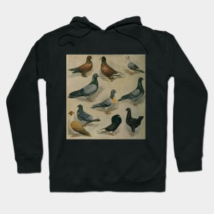 Vintage Pigeons Hoodie